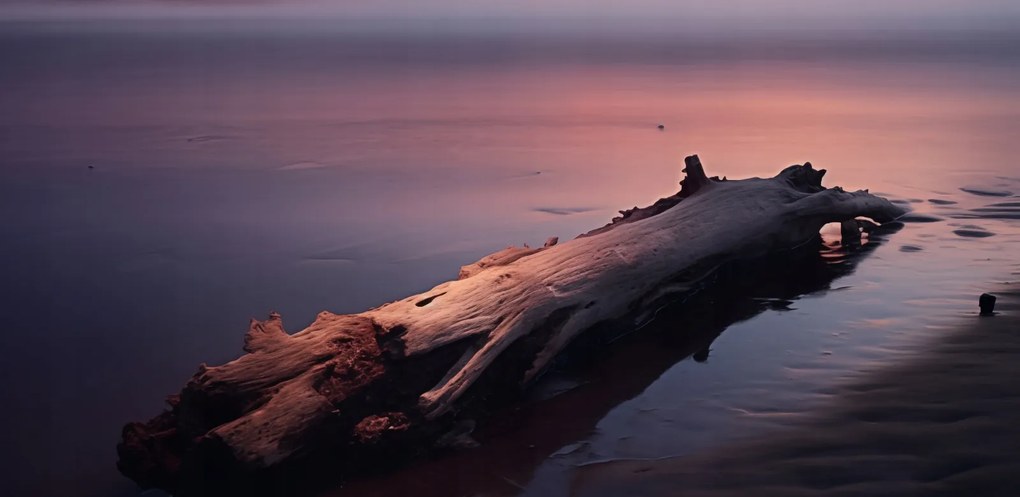 Poszter 91,3x44,5cm Várva a végére