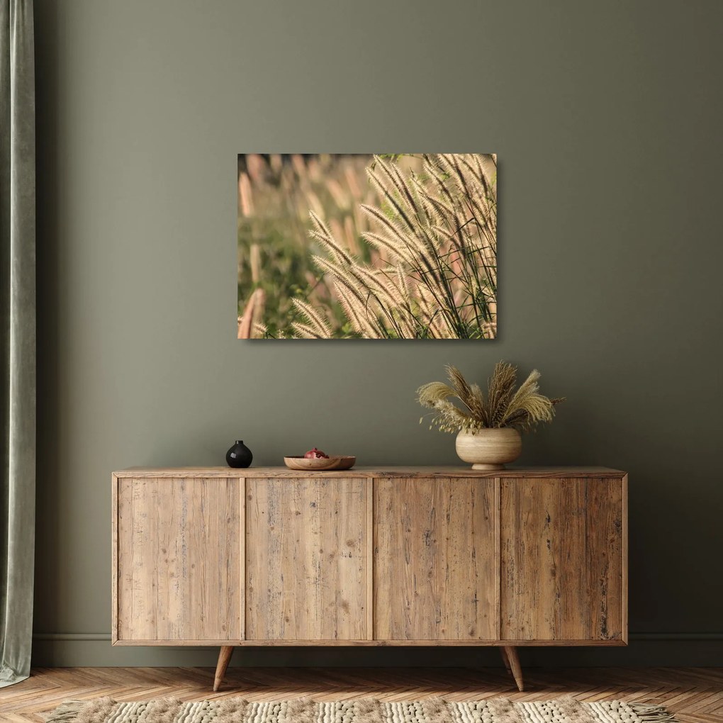 Üveg kép - Gabona (70x50 cm)