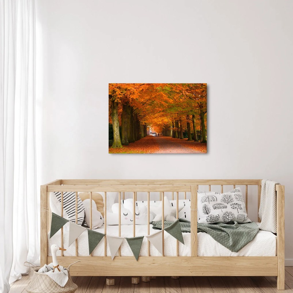 Kép - A Avenue of fák ősszel (70x50 cm)