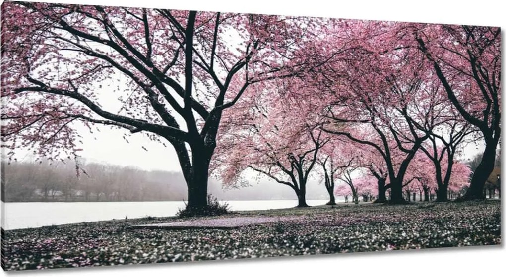 Festmények 115x55 Fa Fák Kilátás