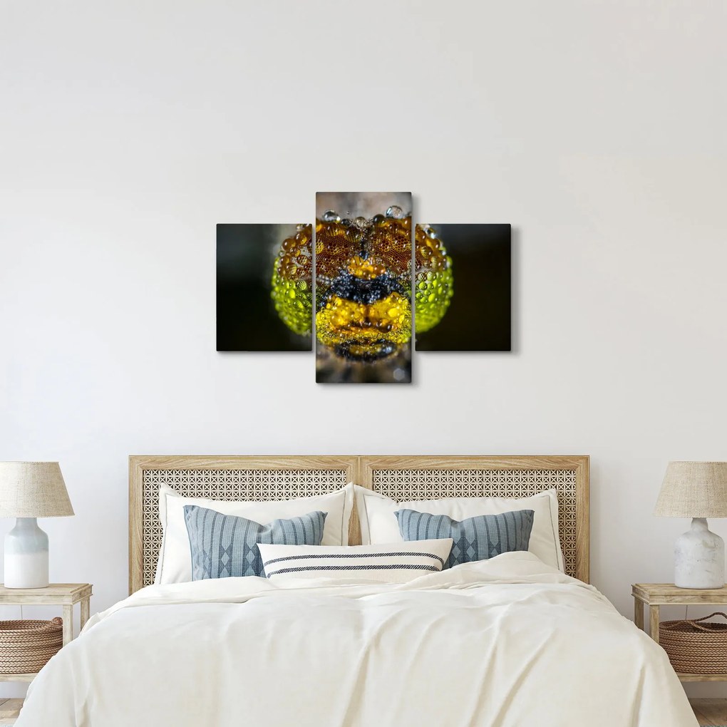 Részletes kép a rovar szemről (90x60 cm)