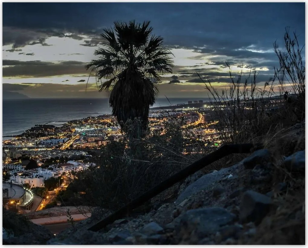 Poszterek 50x40 Tájkép pálmafákkal