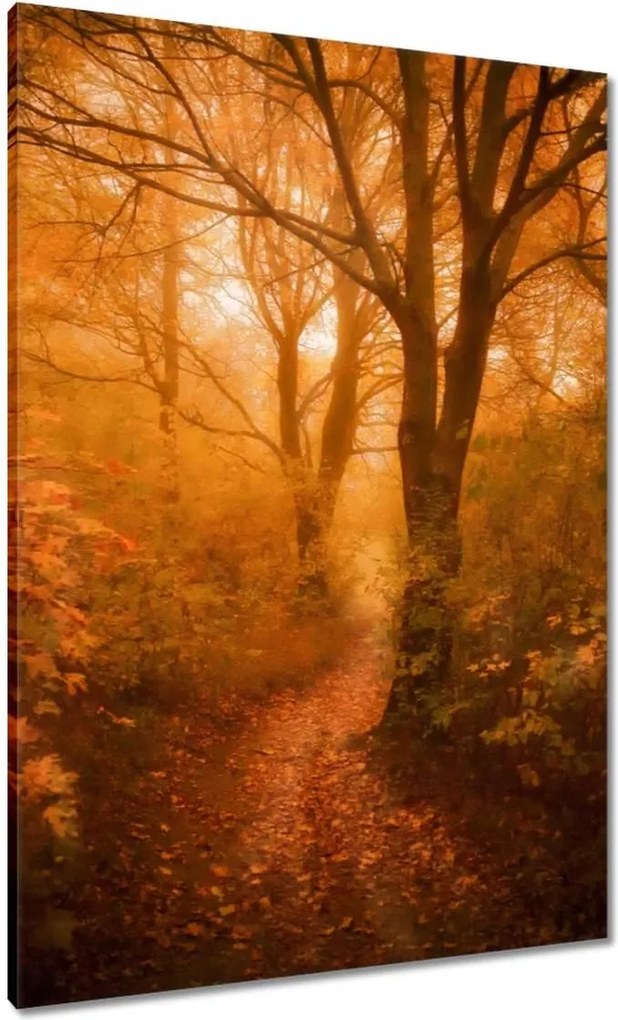 Vászonkép 70x100 Tájkép Látvány