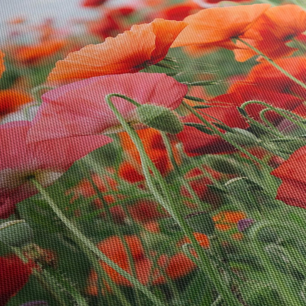 Egy kép a pipacs mezőről (órával) (90x30 cm)