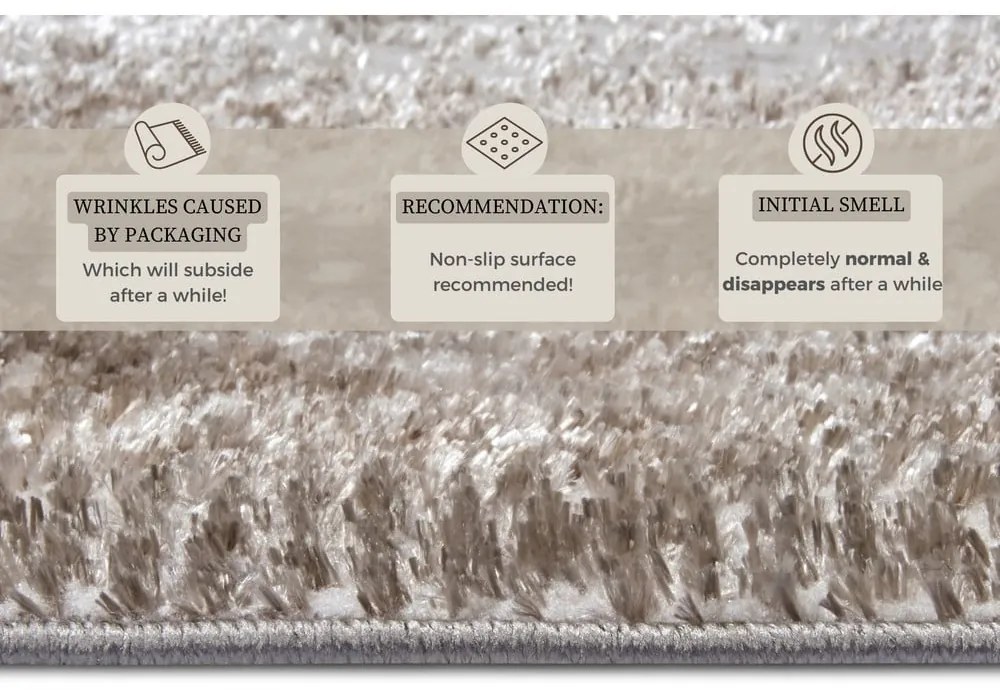 Bézs-ezüstszínű szőnyeg 200x280 cm Shine Classic – Hanse Home