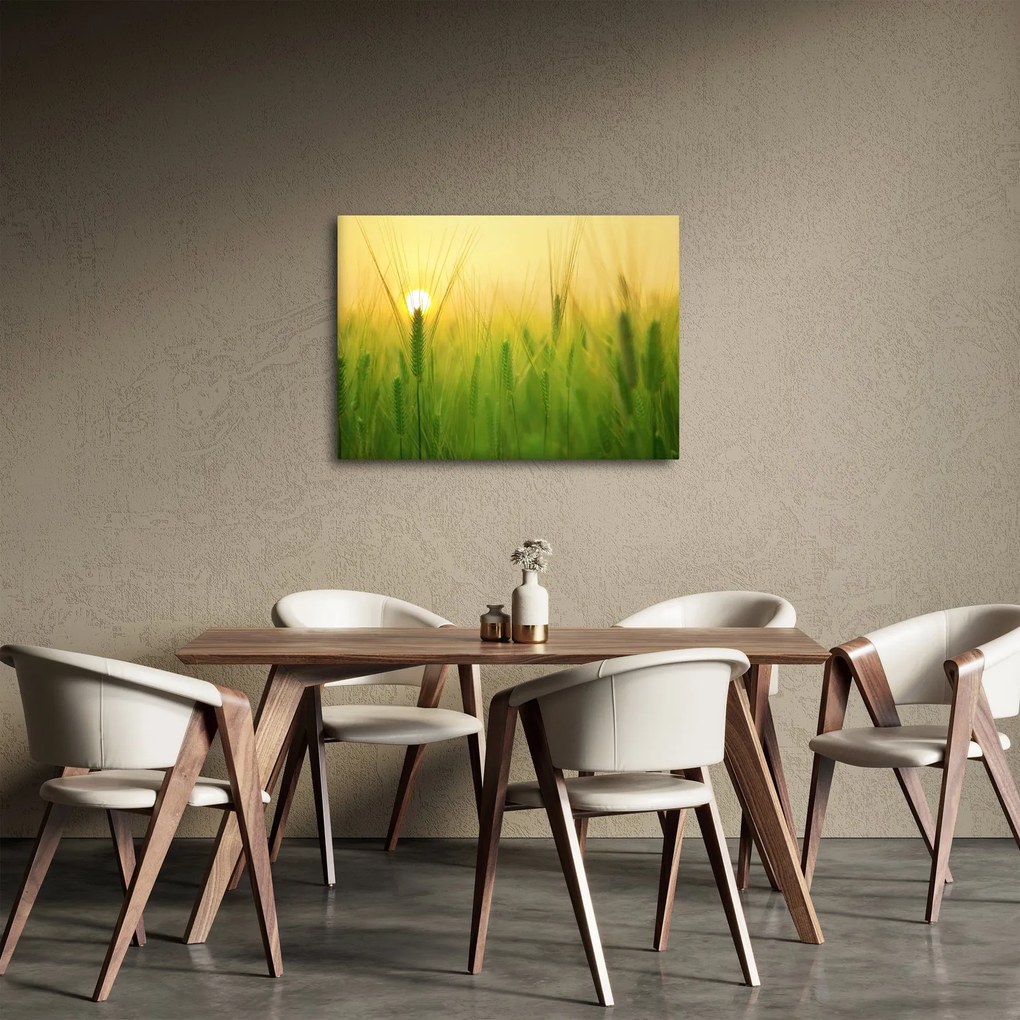 Kép - Mező gabonával (70x50 cm)