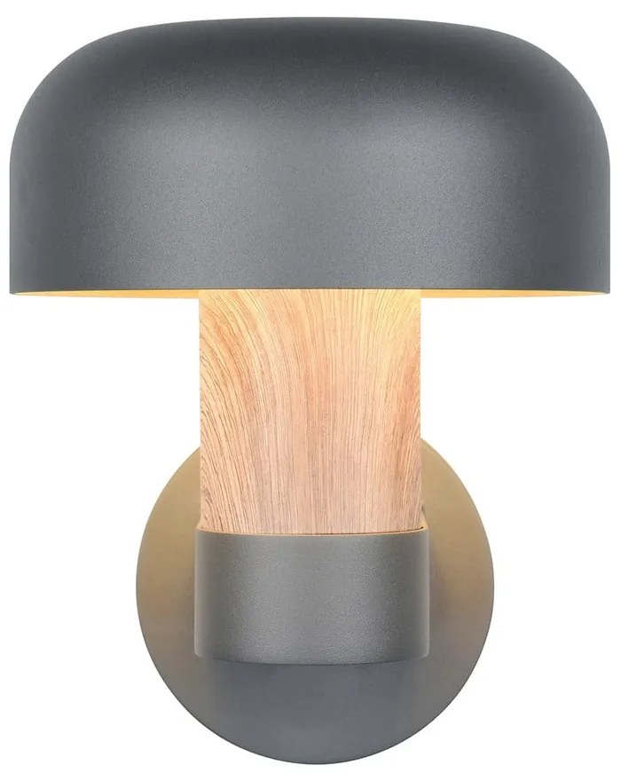 Fali kültéri lámpa (magasság 24,5 cm) Fraser – Trio