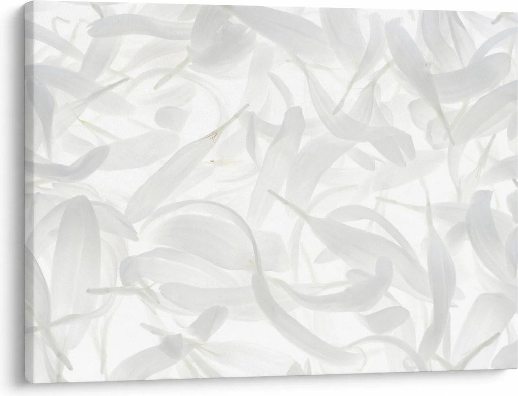 Kép - Szirmok (70x50 cm)