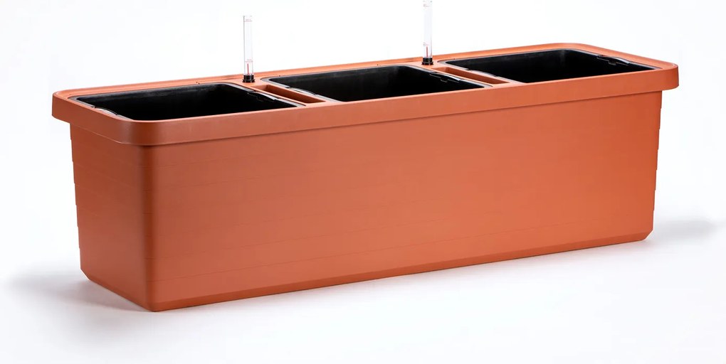 Nagy térfogatú doboz Berberis Trio 117 cm terrak