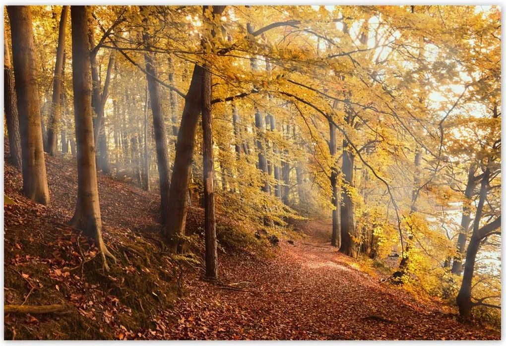 Poszterek 200x135 Tájkép Látvány