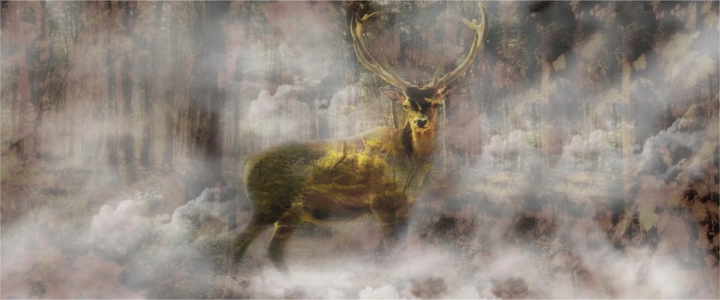 Fotótapéta Szarvas a ködben titokzatos erdei táj természet 250x104 +ragasztó