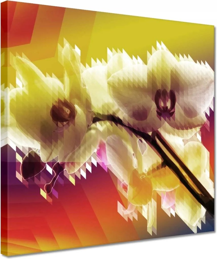 Vászonkép 30x30 Orchidea Gyönyörű virágok