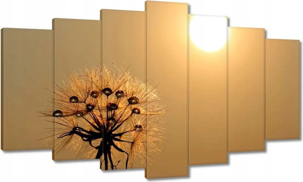 Vászonkép 140x80 Pitypang Virág Virágok