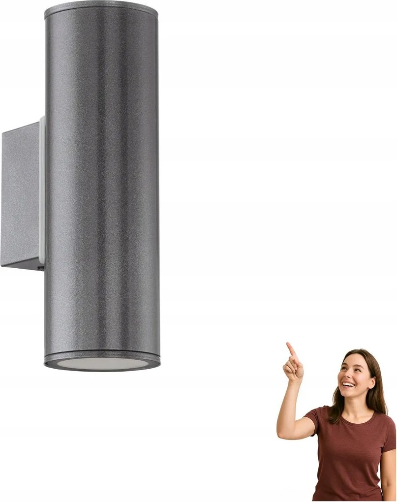 Kültéri fali lámpa Riga 94103 Eglo