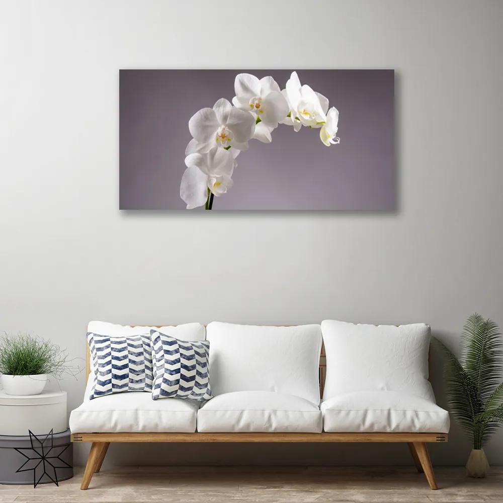 Vászonkép falra Virág növény természet 125x50 cm