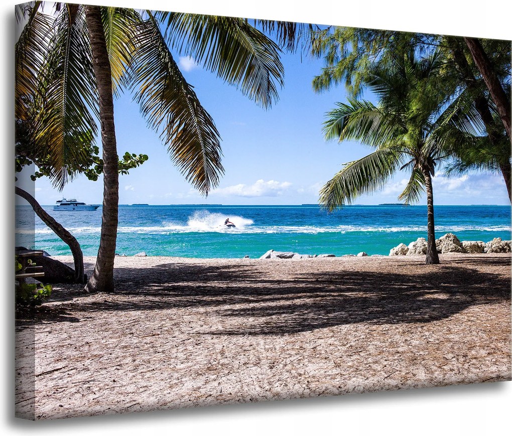 Vászonkép Természet Óceán pálmafák tengerpart 70x50 cm