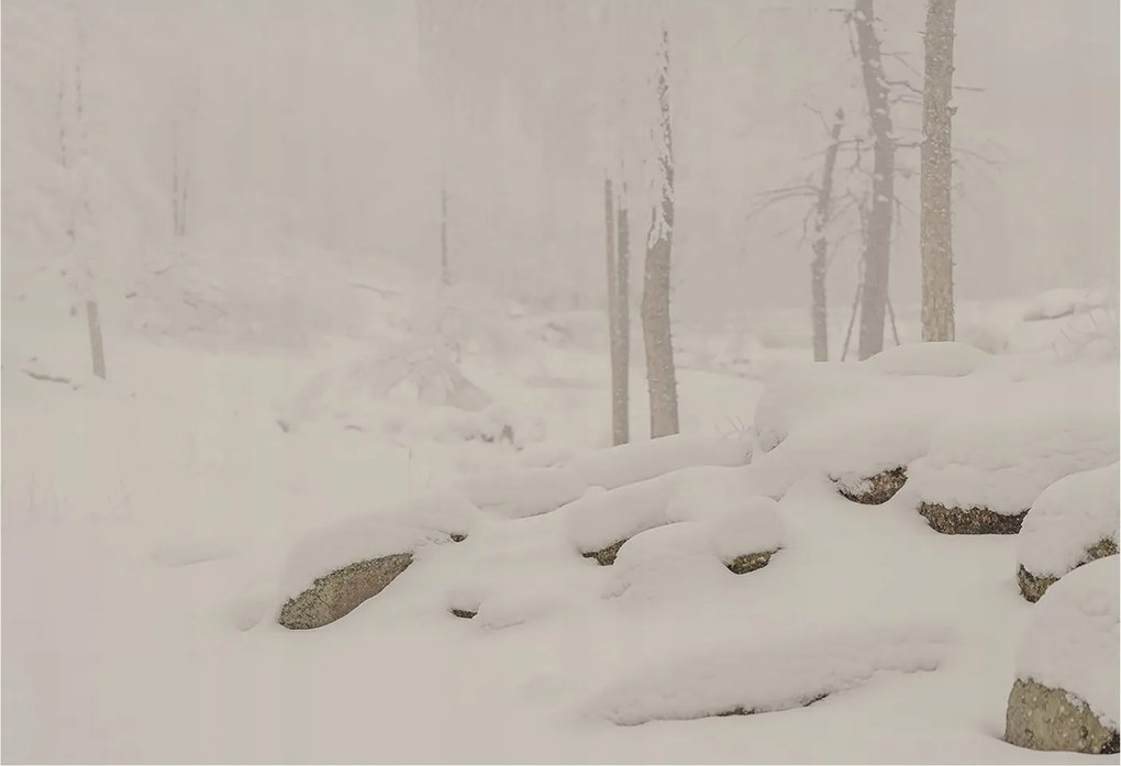 Flizelin tapéta Flizelin Fali Prémium Hóerdő 152x104 Ragasztó