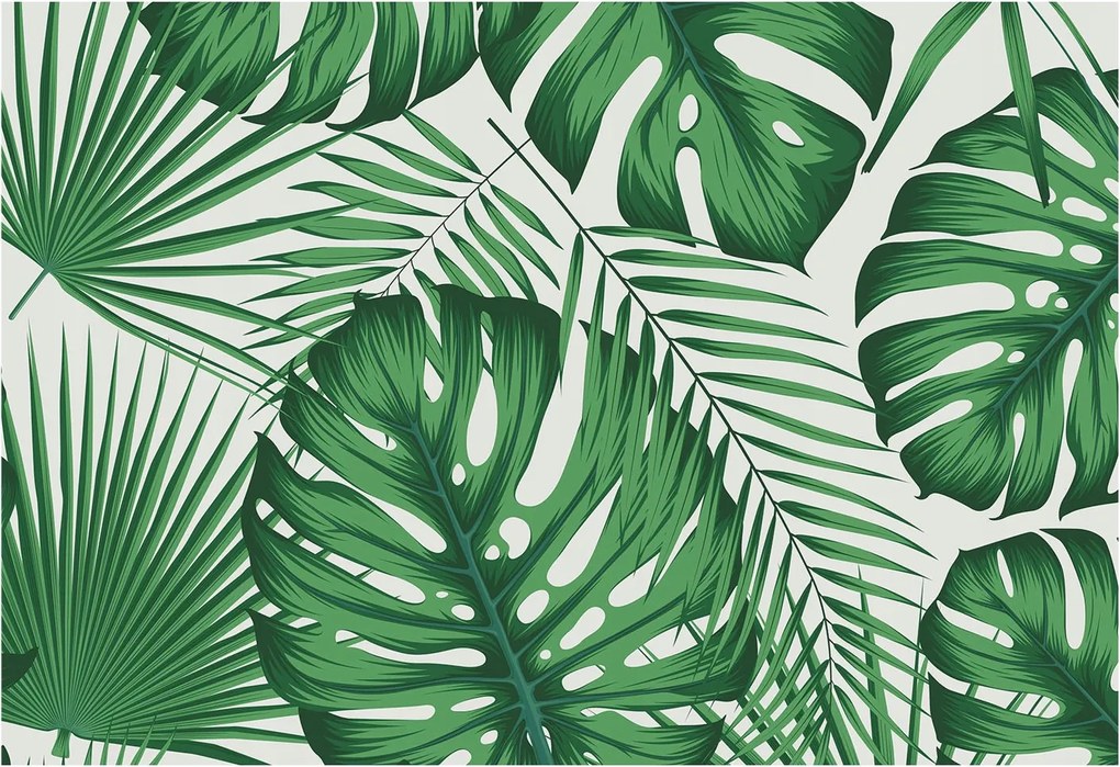 Divatos Flizelin Tapéta Fali Furnér Trópusi levelek 152x104 Ragasztó