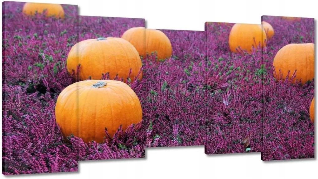 Vászonkép 150x80 Lápvidék sütőtökkel