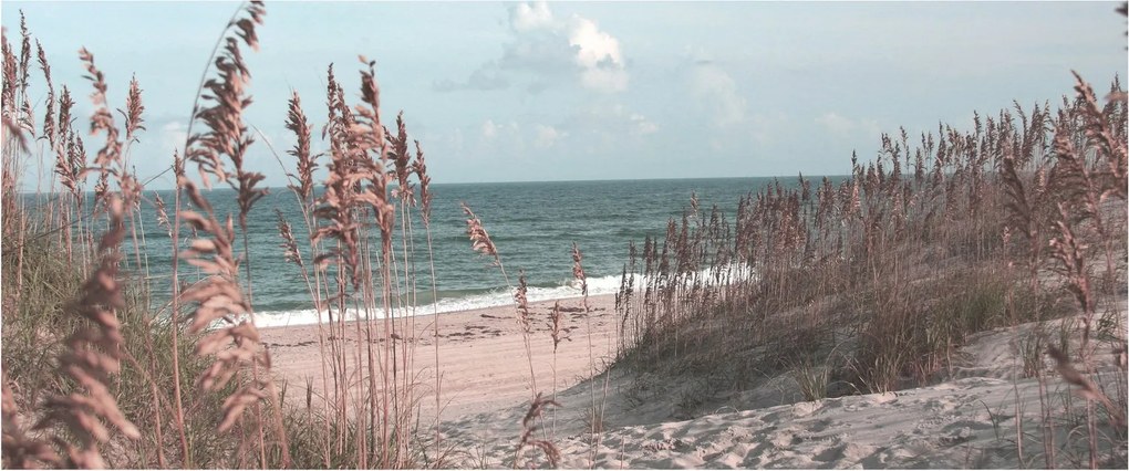 Kép - Rózsaszín strand (120x50 cm)