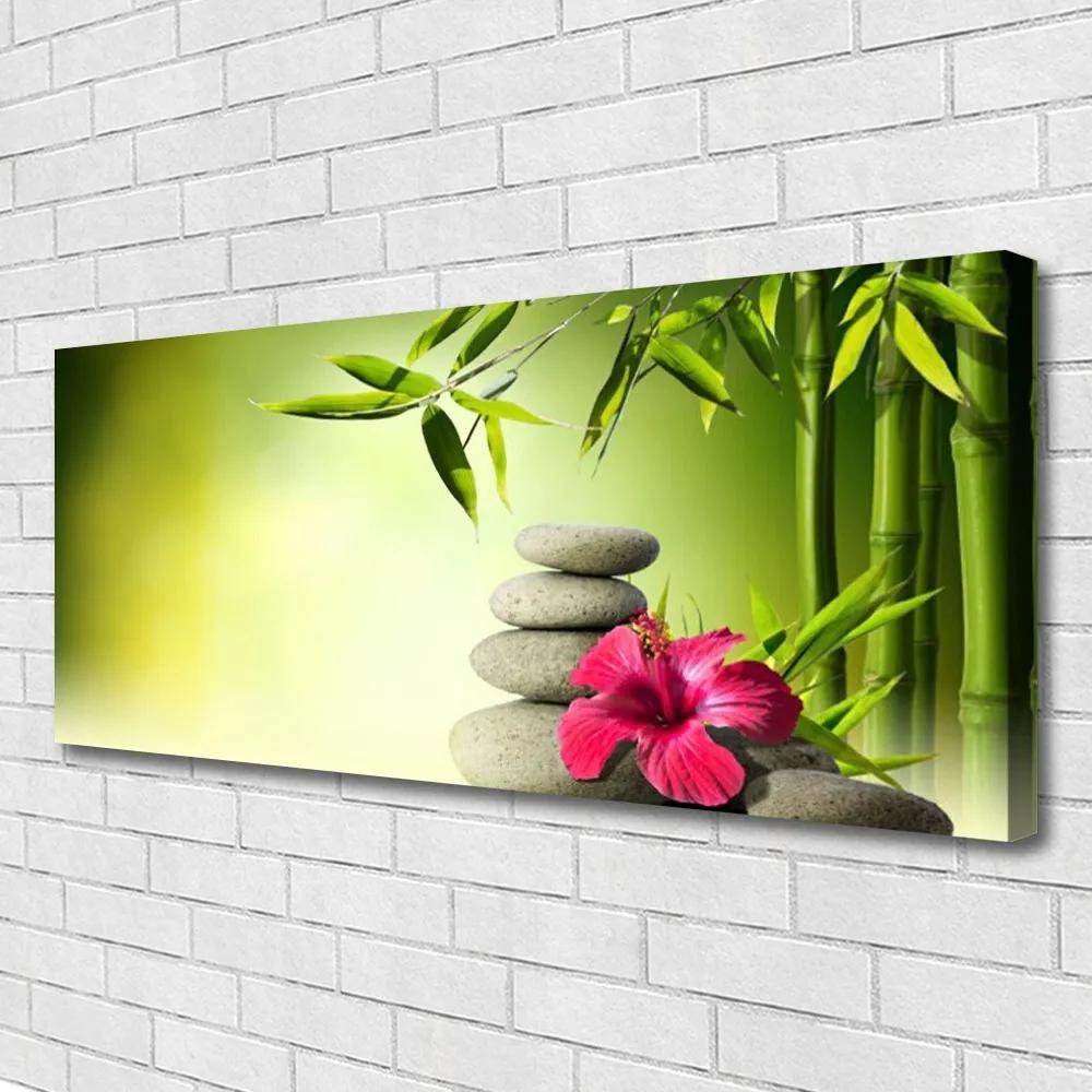 Vászonkép nyomtatás Virág bambusz Zen kövek 100x50 cm
