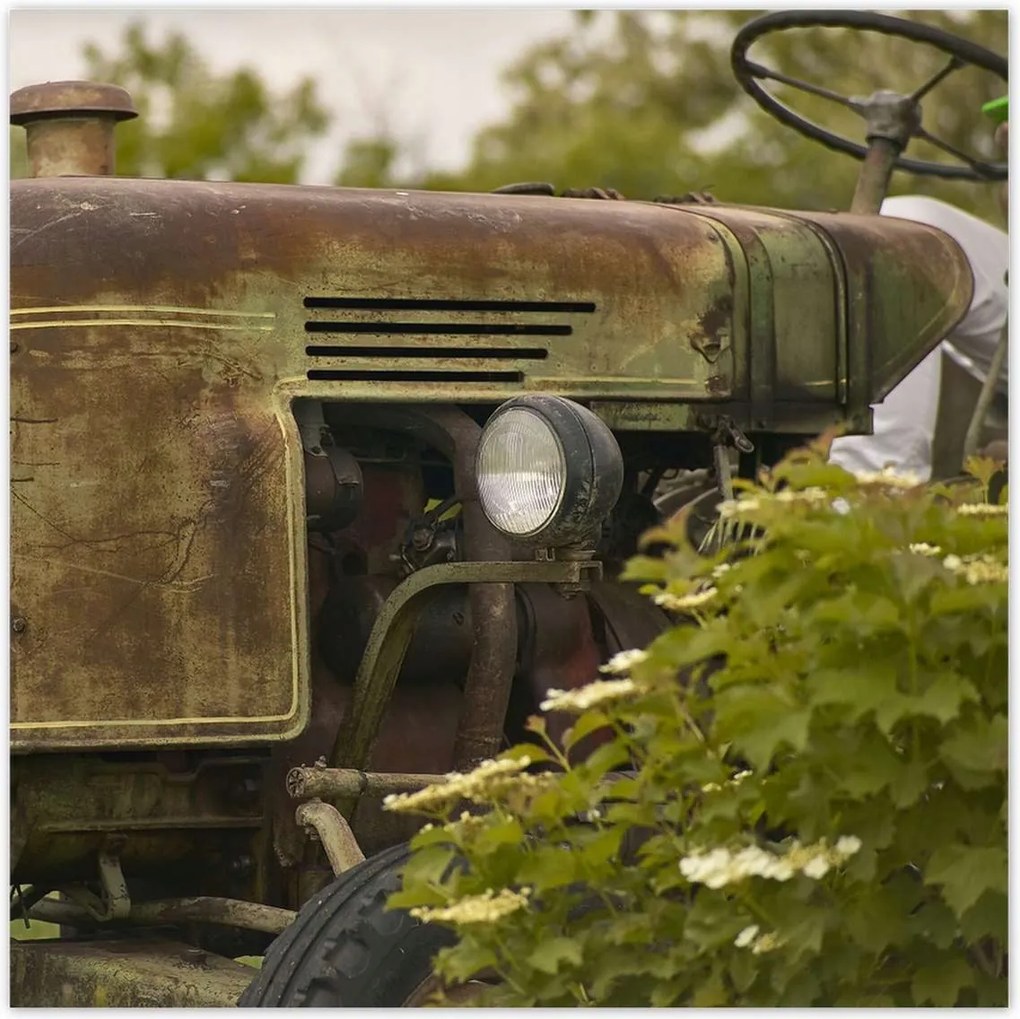 Poszterek 70x70 Antik traktor a mezőn