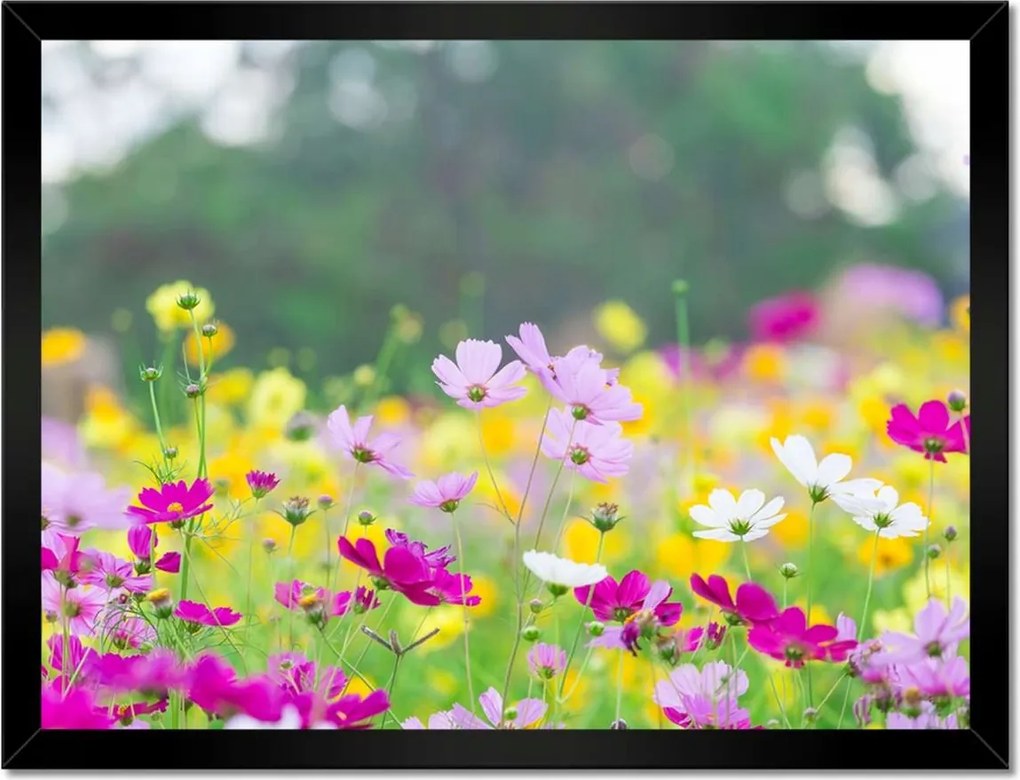 Poszterek keretben 40x30 Virágok