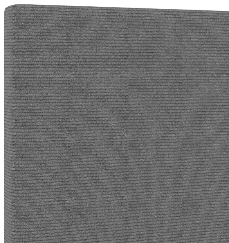 Fejtámla Egyszerű Design Világosszürke 80 cm Kordbársony