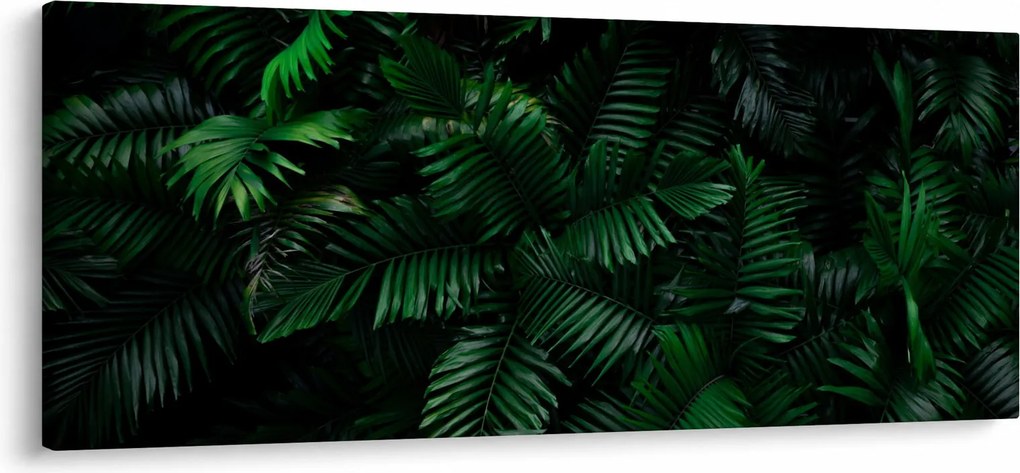 Kép - trópusi páfrány (120x50 cm)