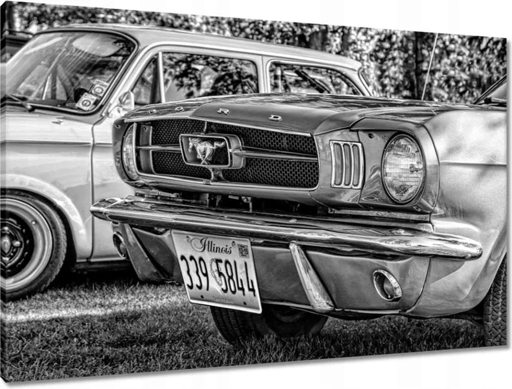 Vászonkép 90x60 Ford Mustang