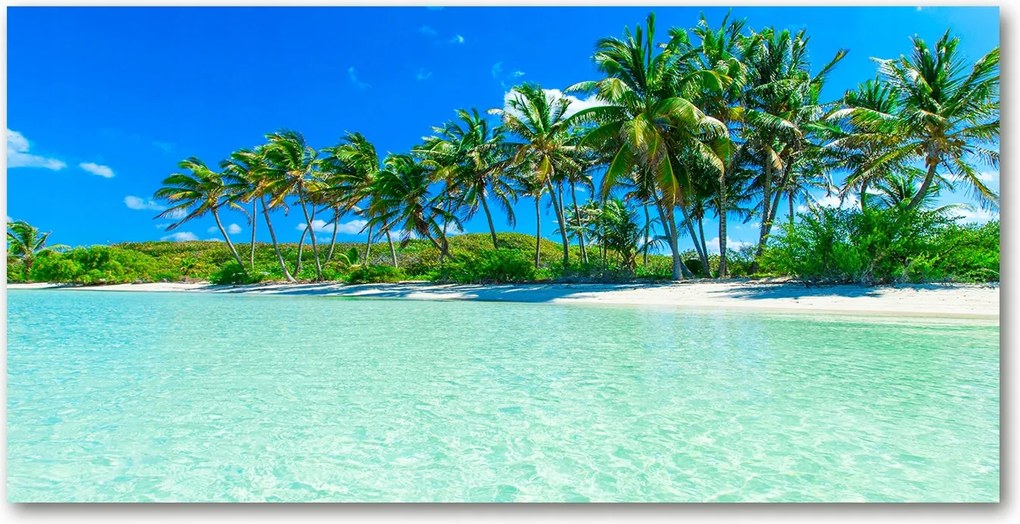Fotó üvegkép Trópusi tengerpart 140x70