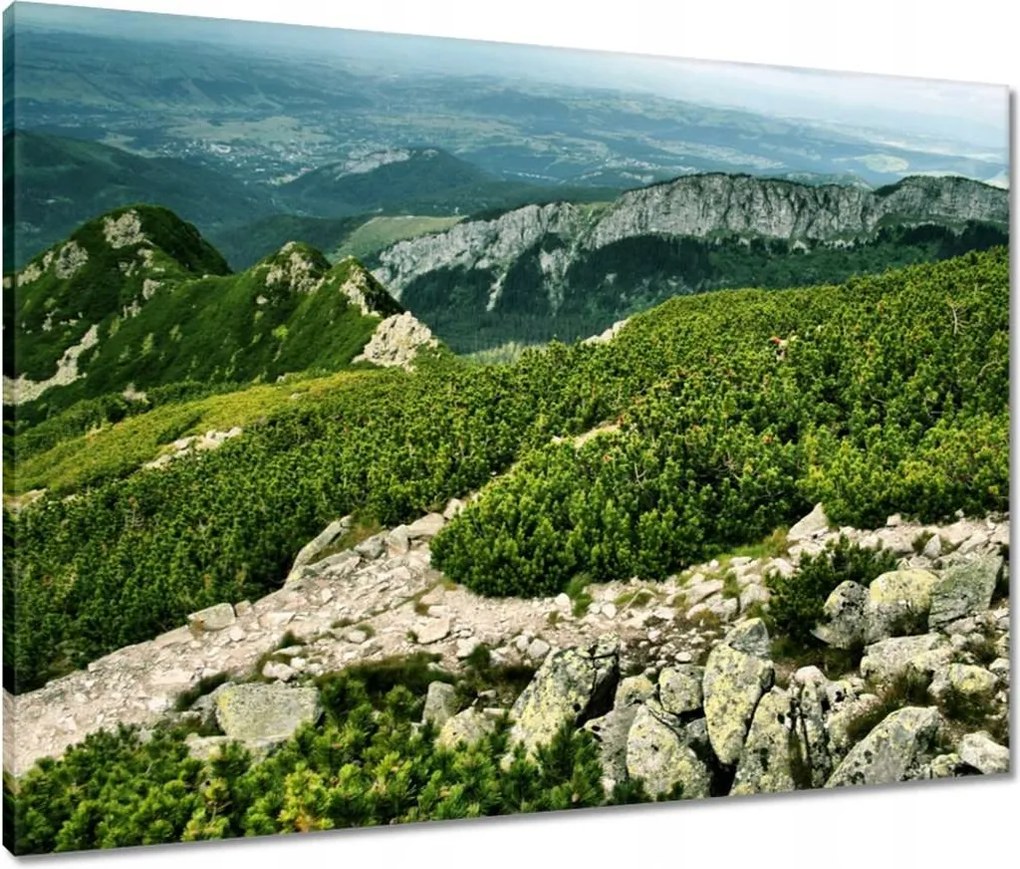 Vászonkép 80x60 Tátra Lengyel hegyek Kilátás