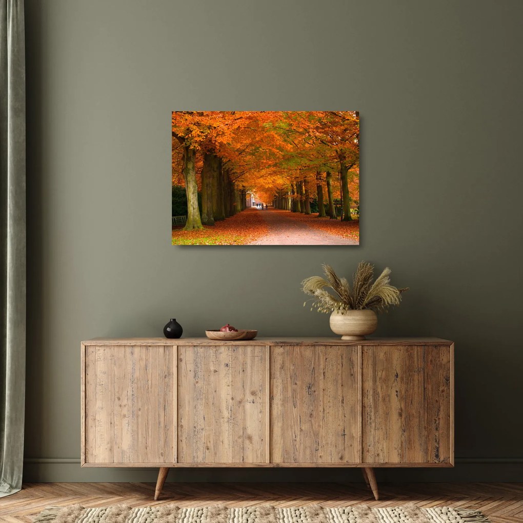 Üveg kép - A Avenue of fák ősszel (70x50 cm)