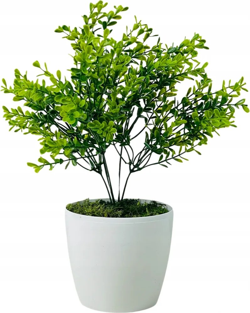 Cserepes virág Puszpáng 30cm Lakásdekoráció Mesterséges virágok az irodába