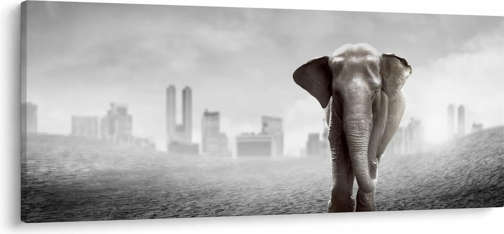 Kép -Elefánt egy nagyvárosban, fekete-fehér változat (120x50 cm)