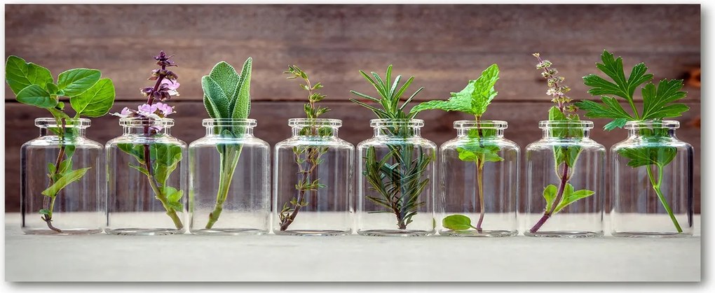 Lacobel konyhai szekrények alá Növények befőttes üvegekben XXL