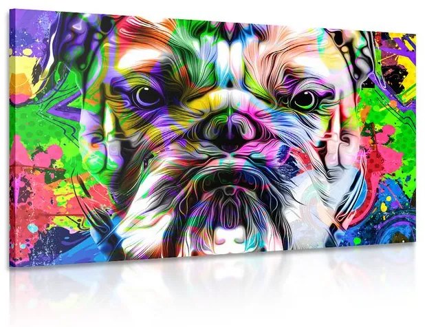 Kép pop art francia bulldog