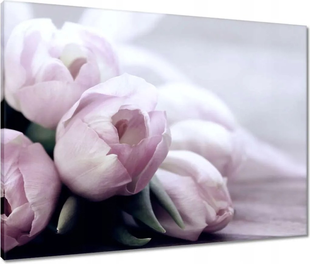 Vászonkép 80x60 Tulipánok Virágok