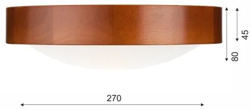 Mennyezeti lámpa 1xE27/60W/230V