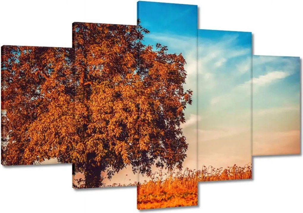 Festmények 120x80 Őszi színek Tájkép