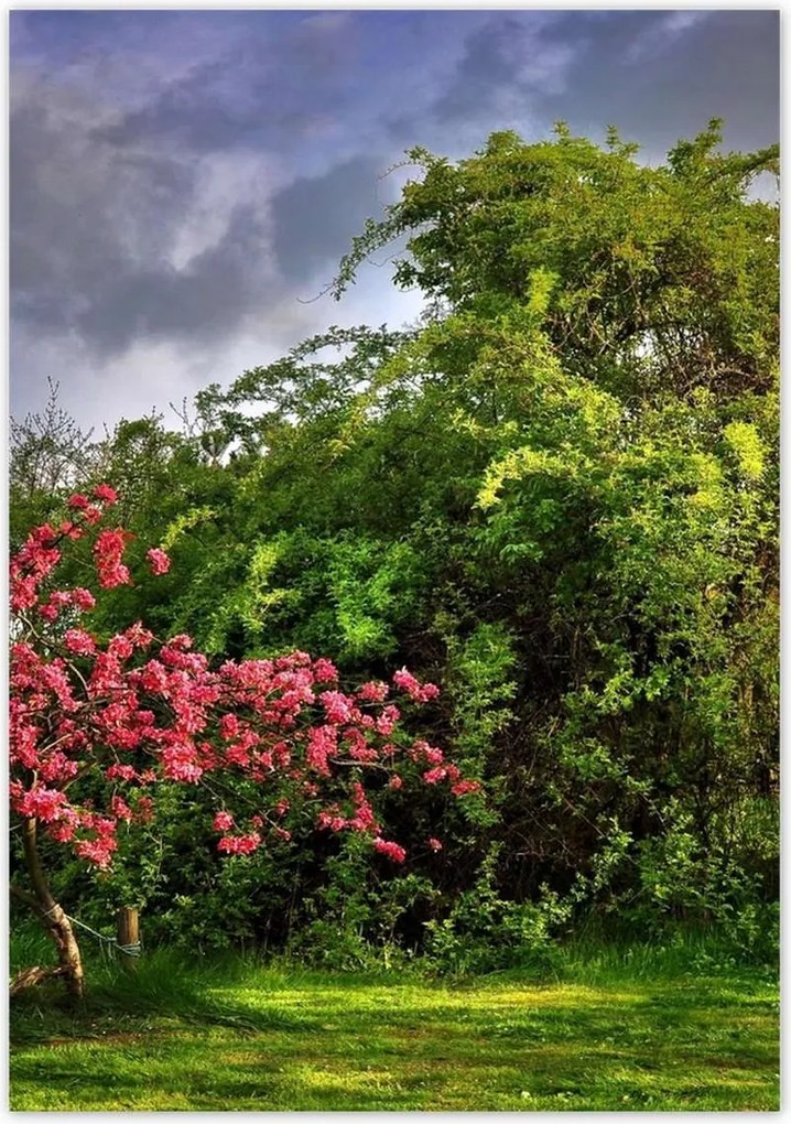 Poszterek 70x100 Tájkép