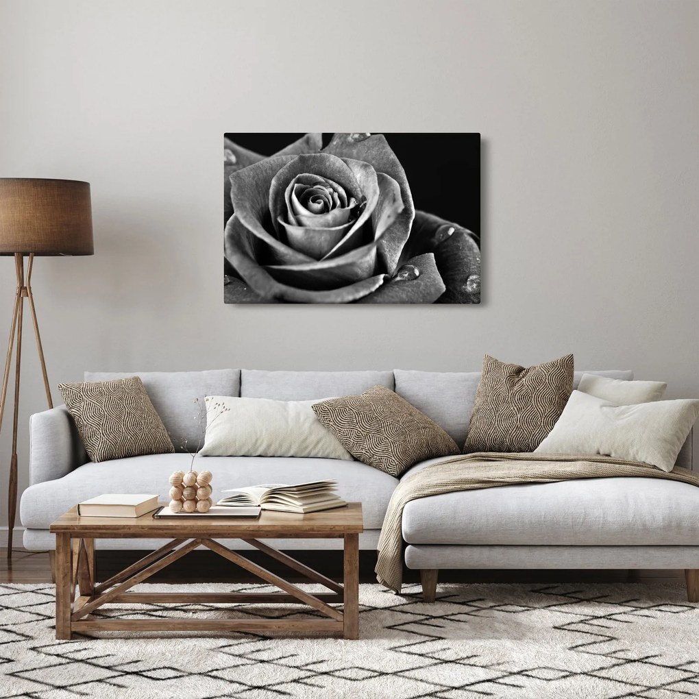 Kép - Rózsa, fekete-fehér (90x60 cm)