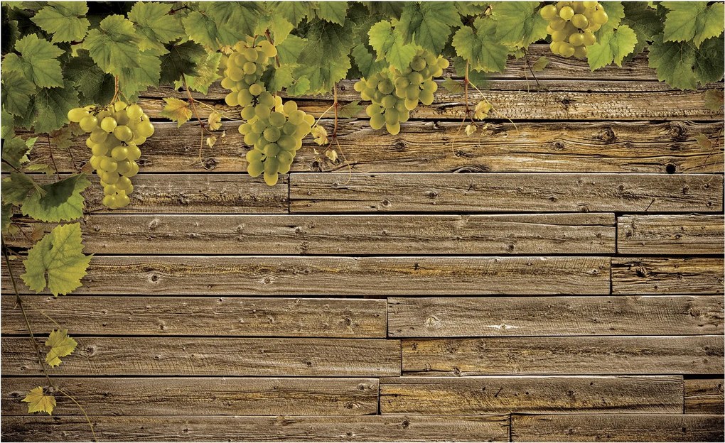 Fotótapéta Szőlő a fán Provence Country 368x254 vinil +ragasztó