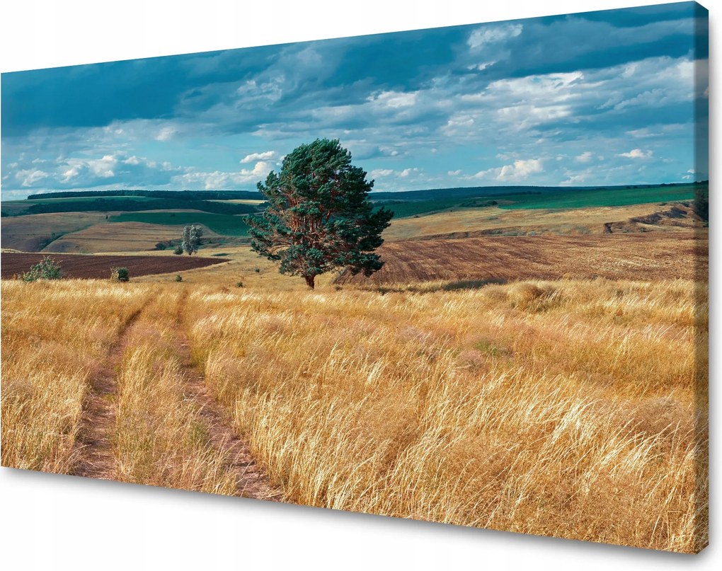 Vászonkép Gabonamező Természet Felhők Tájkép 70x50 cm