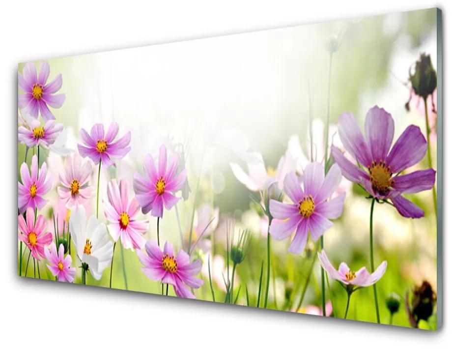 Üvegkép falra Virág növény természet 140x70 cm