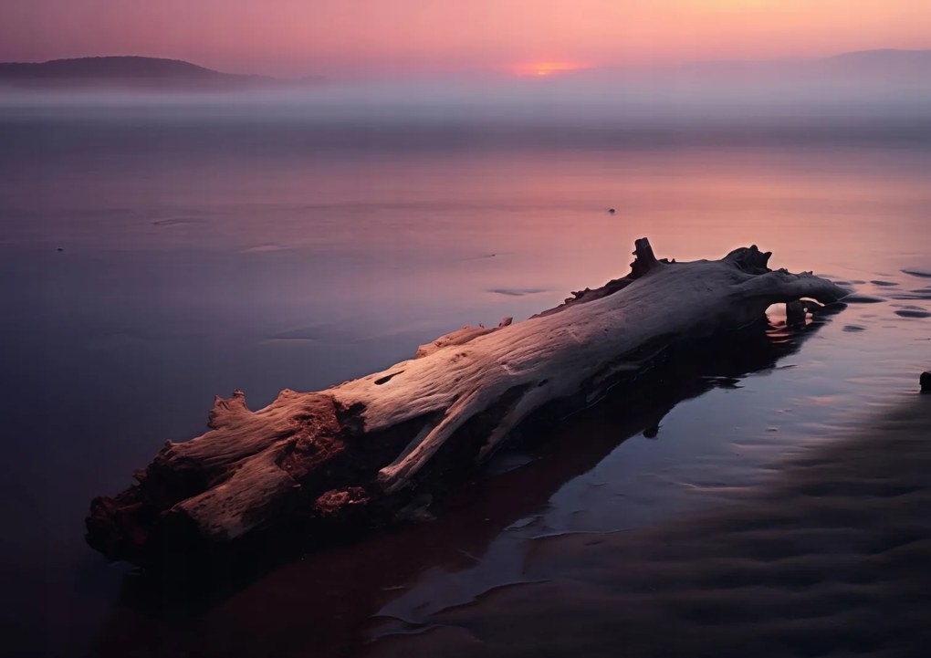 Poszter 29,7x21cm Várva a végére