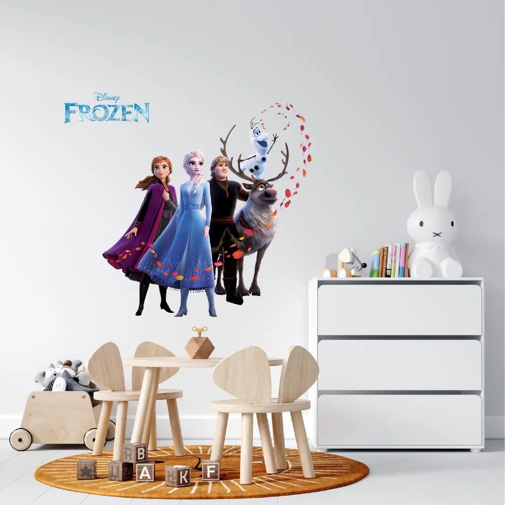 Falmatrica "Frozen 2" 60x70cm