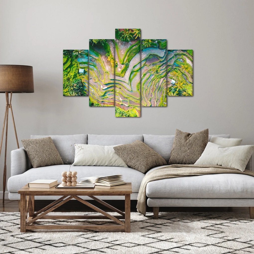 A rizsföldek képe madártávlatból (150x105 cm)