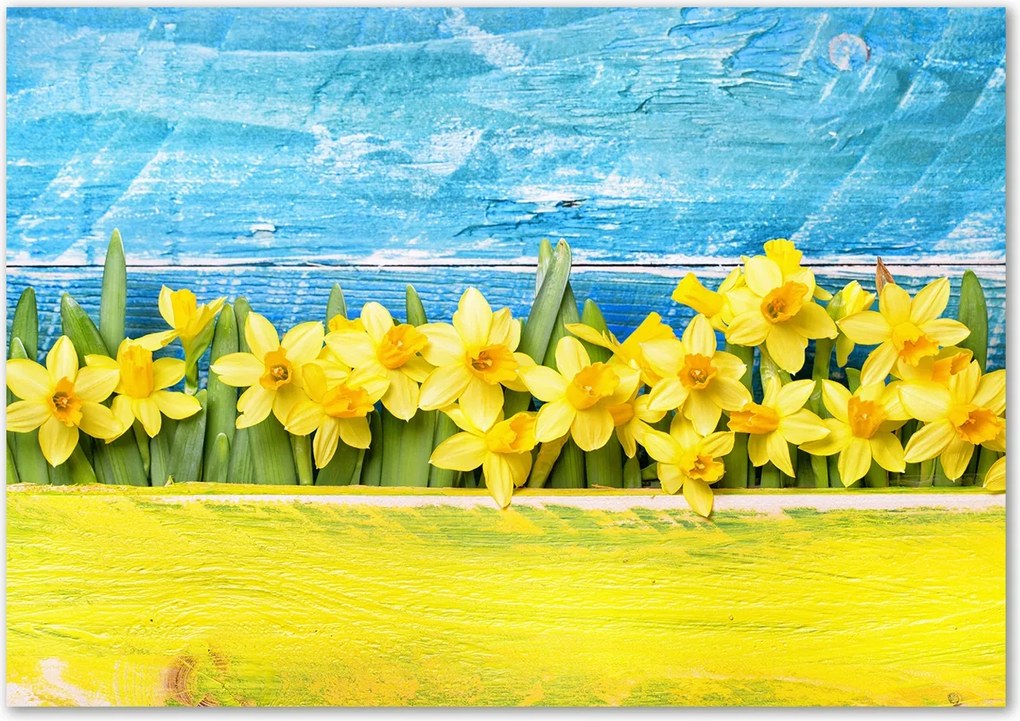 Lacobel üveg fotó nyomtatással Nárcisz Ragasztó Ingyenes