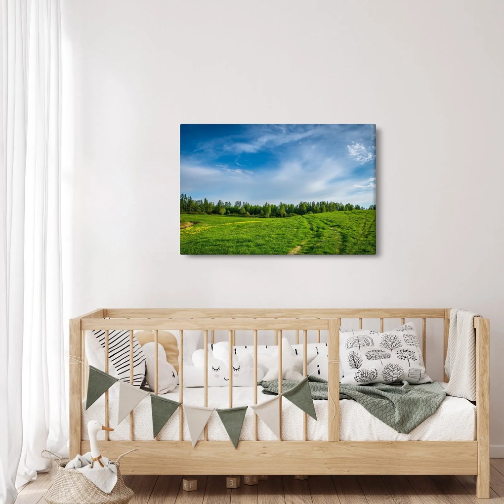Rét képe (90x60 cm)